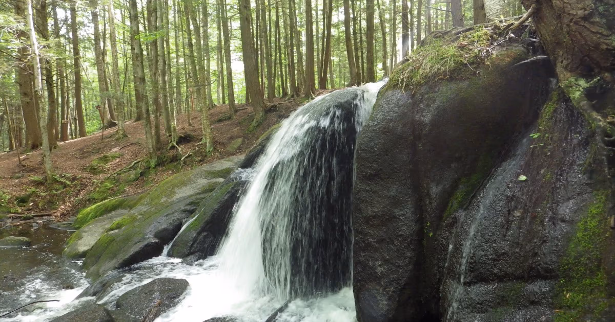 Cascade en forêt à quelques minutes du Gîte L’Authentique